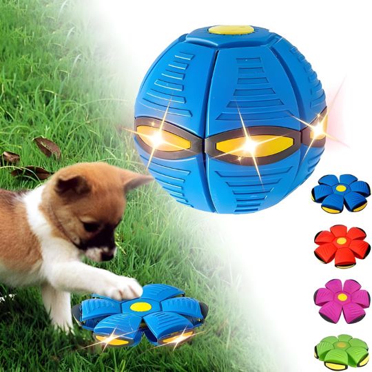 BounceDisc - Interactive Toy for Dogs