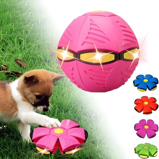 BounceDisc - Interactive Toy for Dogs