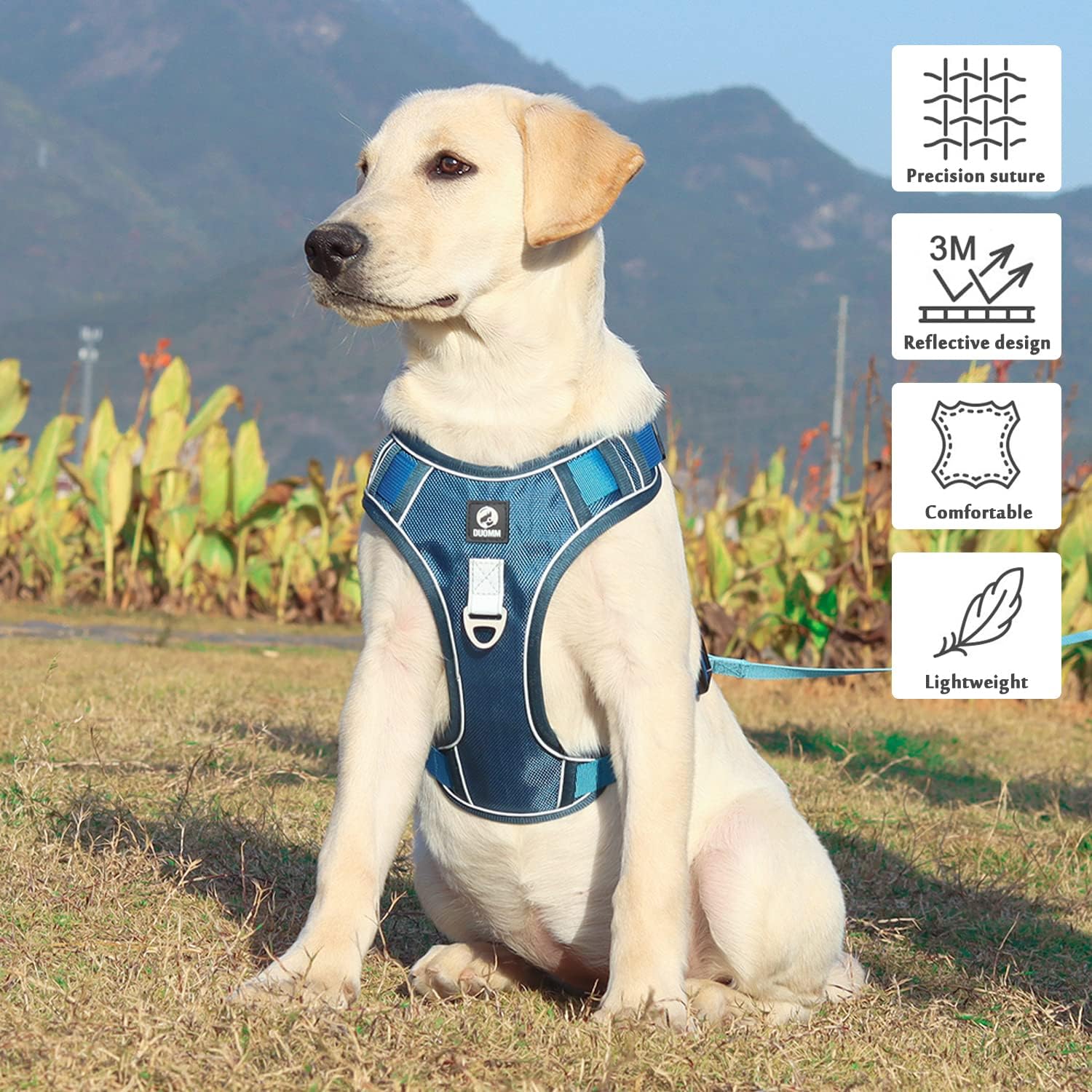 Anti-pull dog harness - EasyWalk™