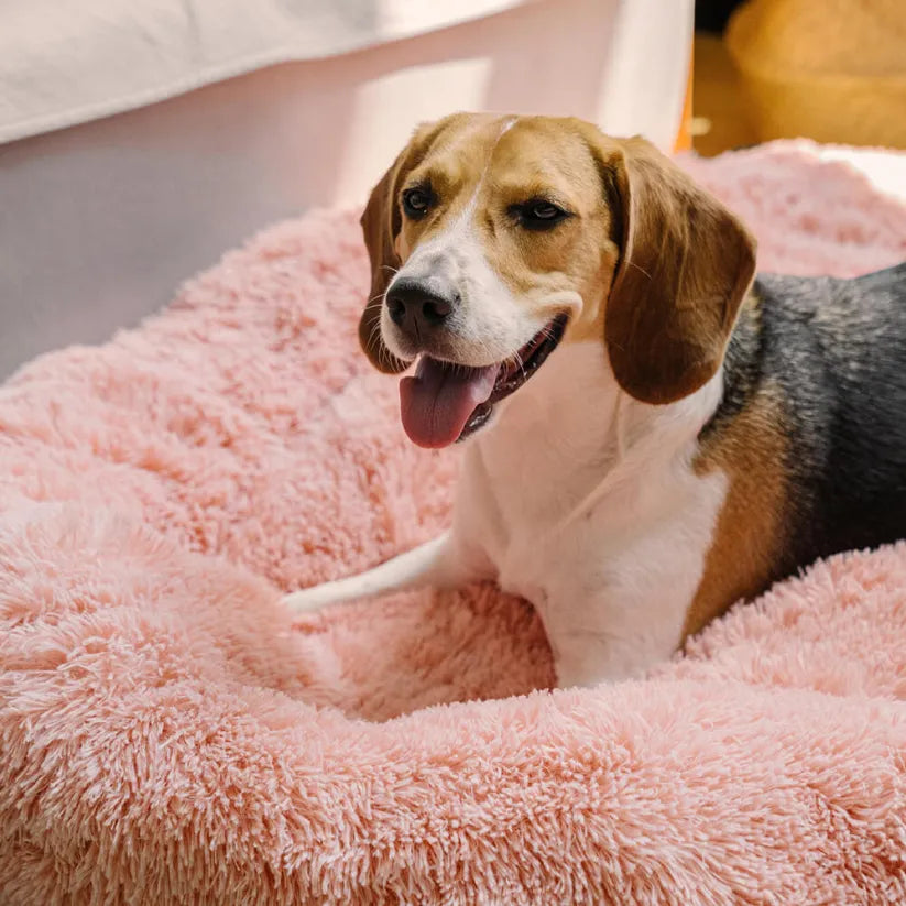 CalmNest - Soothing Dog Comfort Bed