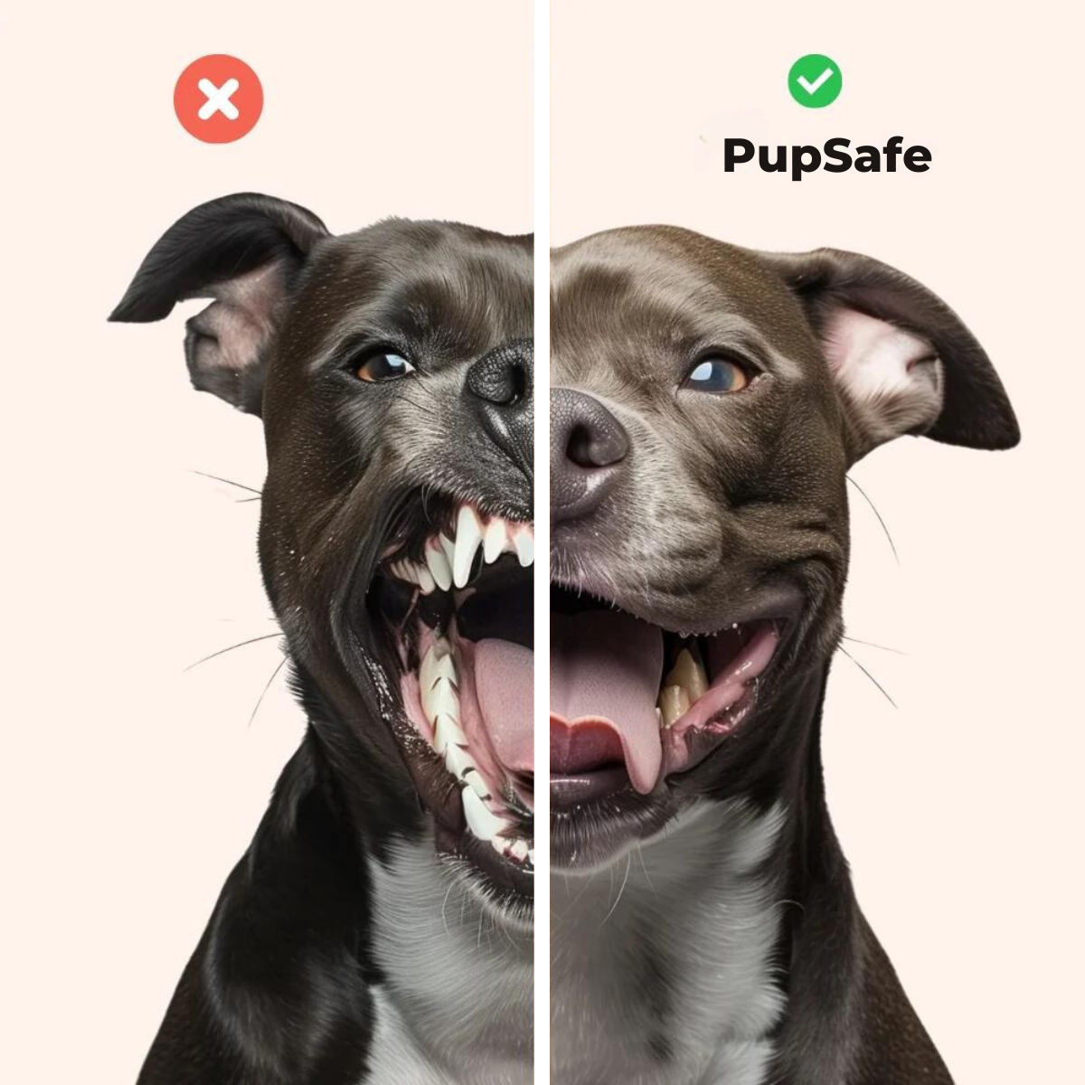 PupSafe™ - Painlessly Stop Barking in Seconds!