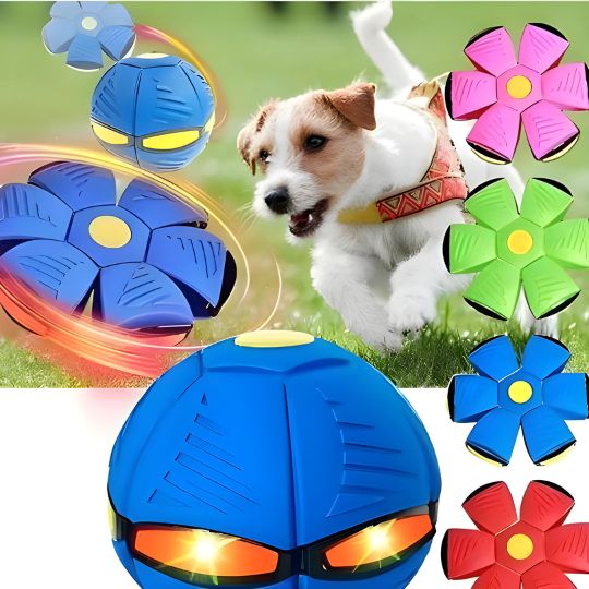 BounceDisc - Interactive Toy for Dogs