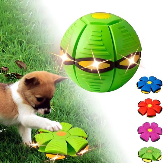 BounceDisc - Interactive Toy for Dogs