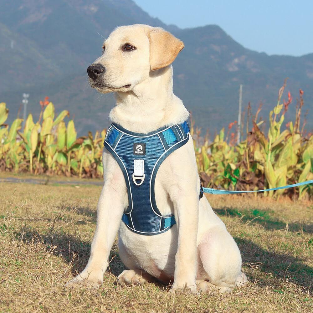 Anti-pull dog harness - EasyWalk™