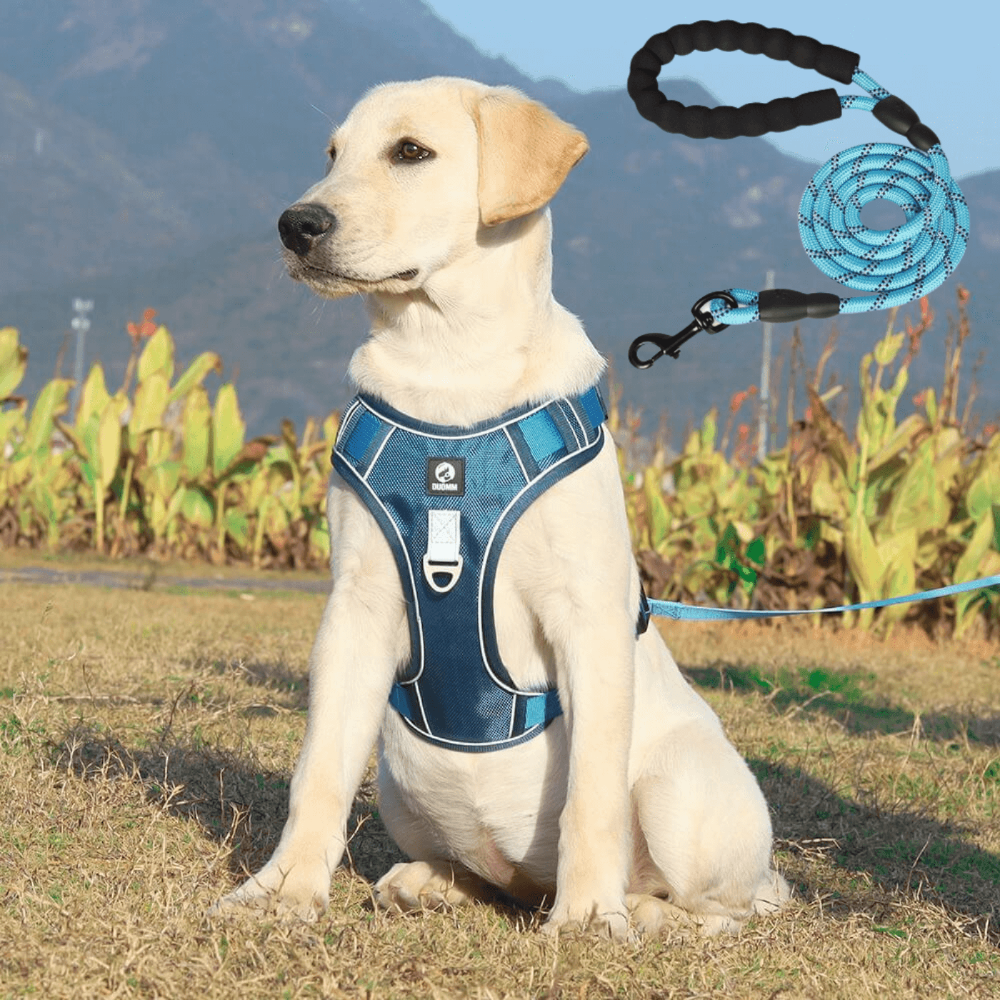 Anti-pull dog harness - EasyWalk™