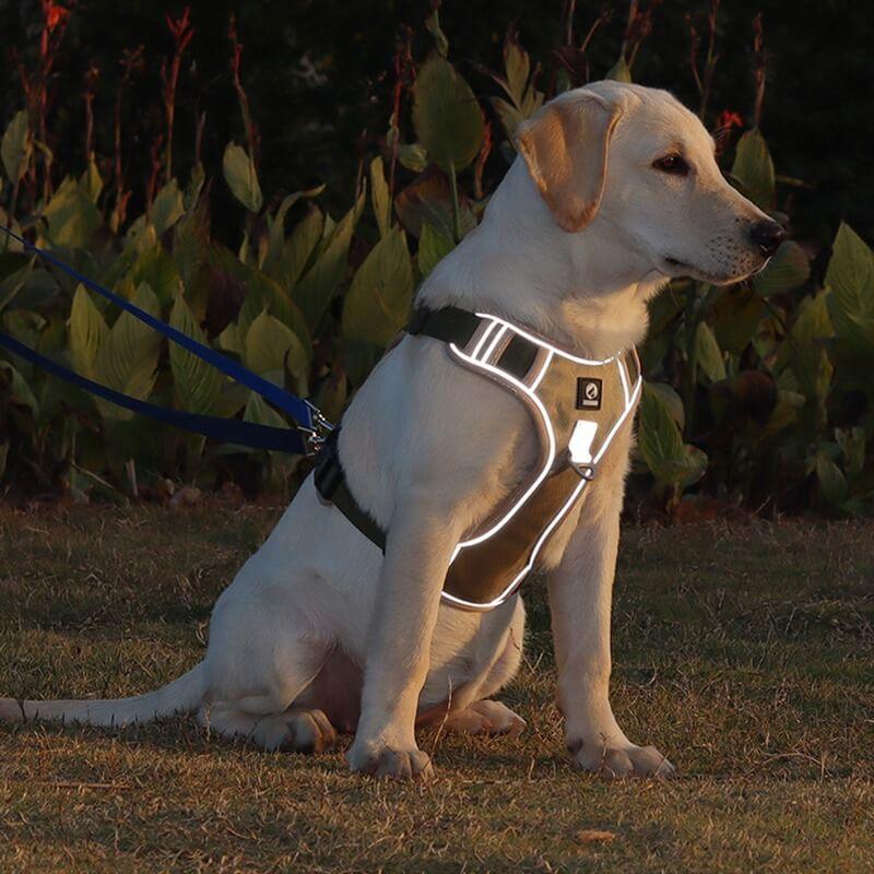 Anti-pull dog harness - EasyWalk™