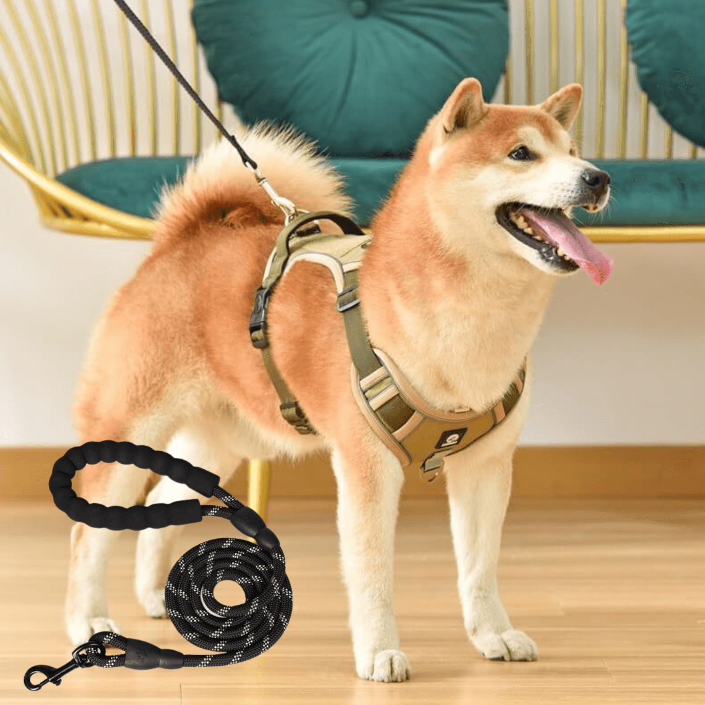 Anti-pull dog harness - EasyWalk™