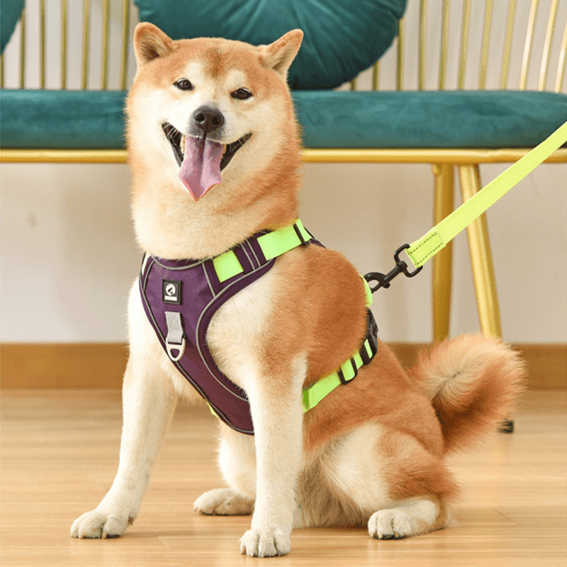 Anti-pull dog harness - EasyWalk™