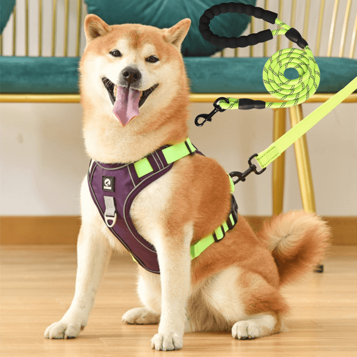 Anti-pull dog harness - EasyWalk™