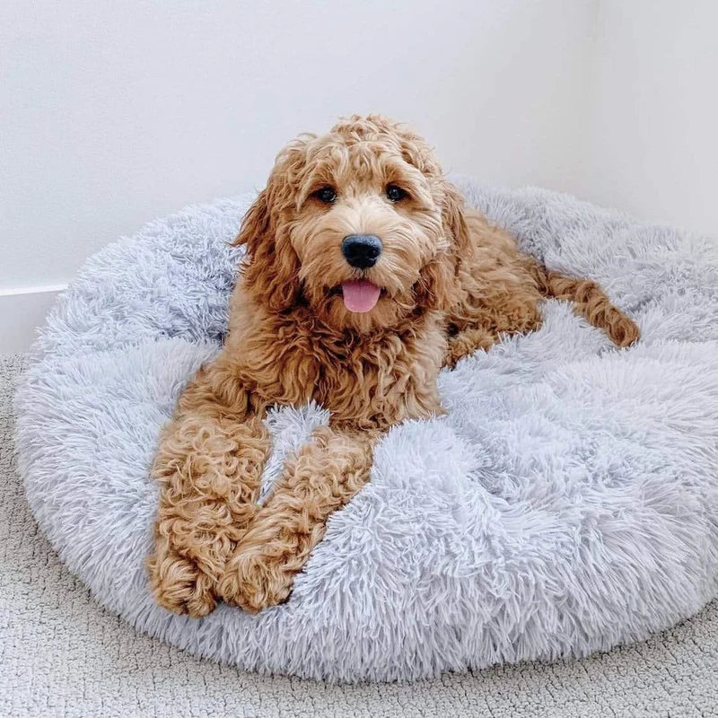 CalmNest - Soothing Dog Comfort Bed