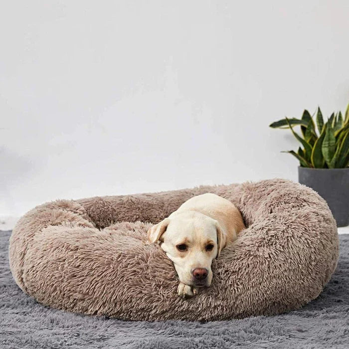 CalmNest - Soothing Dog Comfort Bed